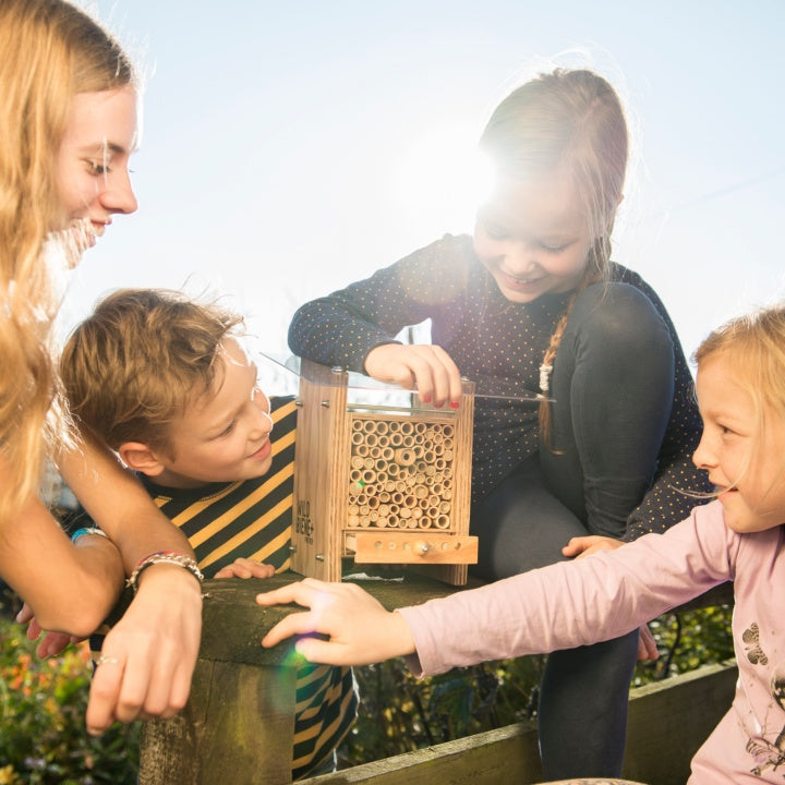 
                  
                    BeeHome Observateur
                  
                