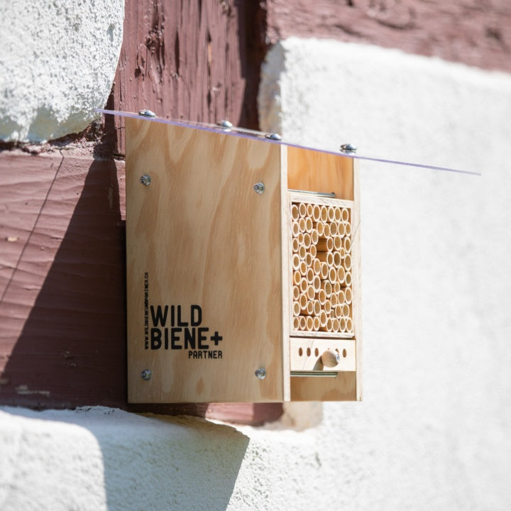 
                  
                    BeeHome Observateur
                  
                