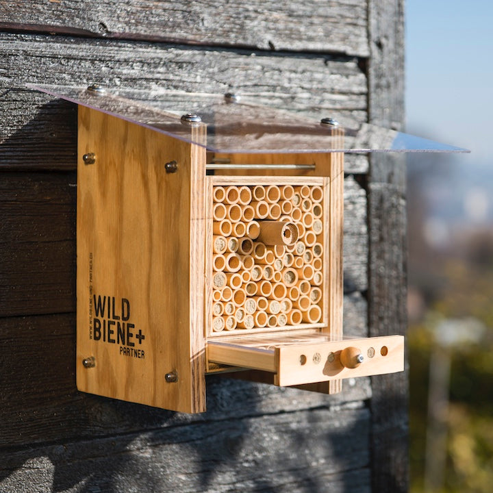 
                  
                    BeeHome Observateur
                  
                
