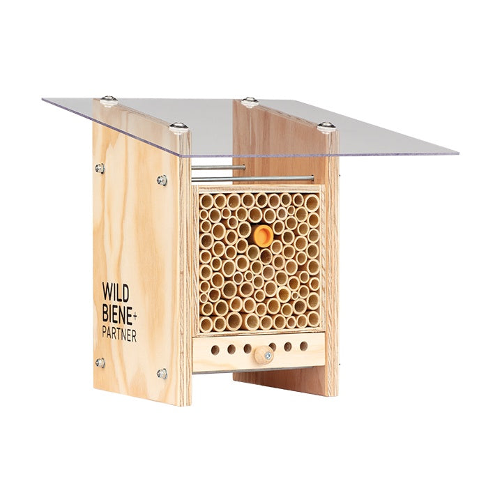 
                  
                    BeeHome Observateur
                  
                