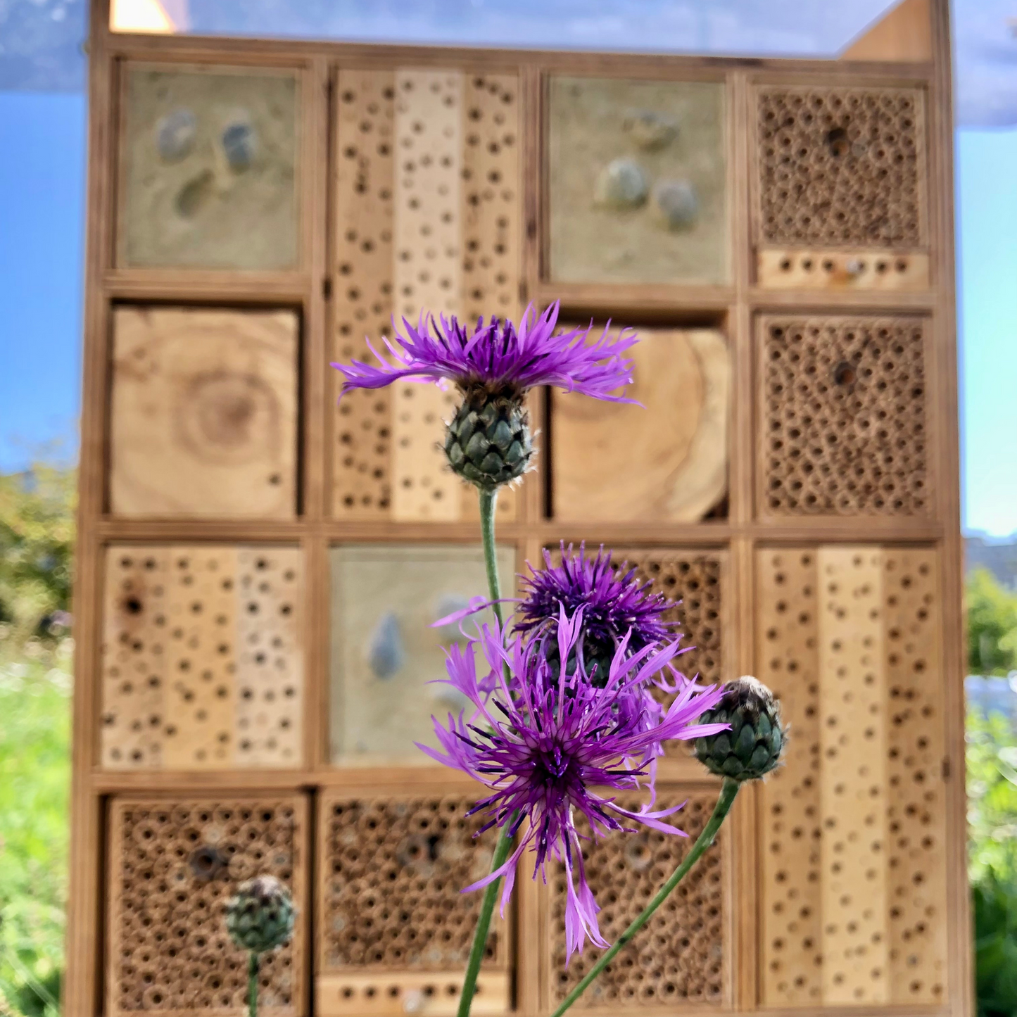 
                  
                    AbeilleHome Premium
                  
                