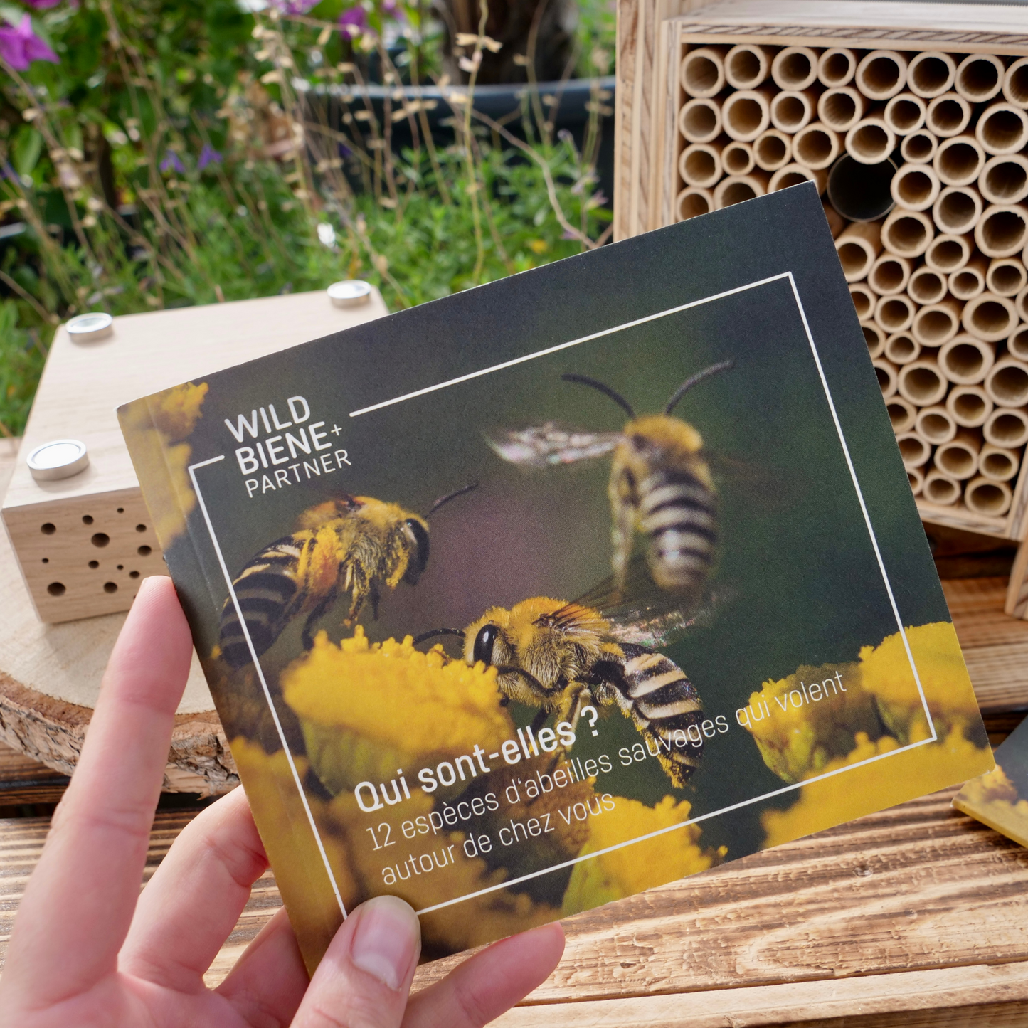
                  
                    Livret d'abeilles sauvages
                  
                