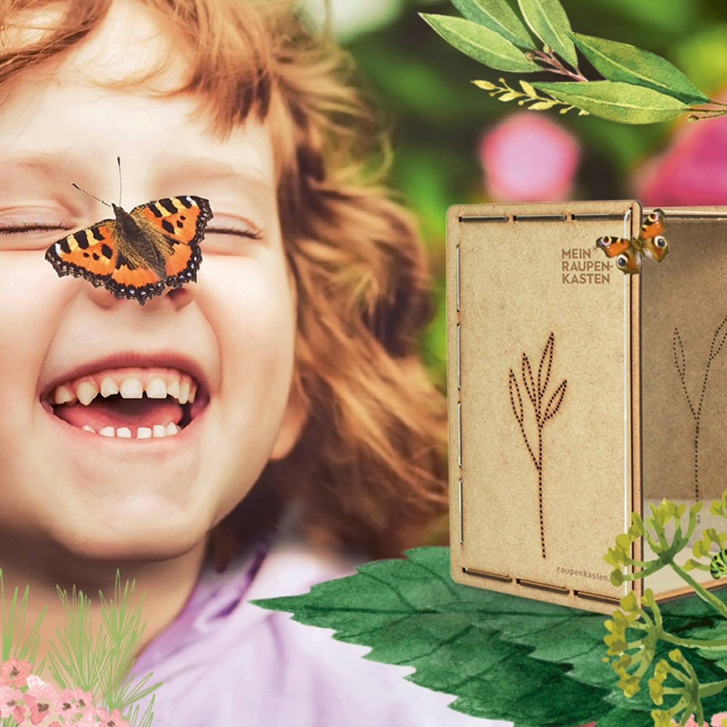 
                  
                    Boite chenille pour papillons
                  
                